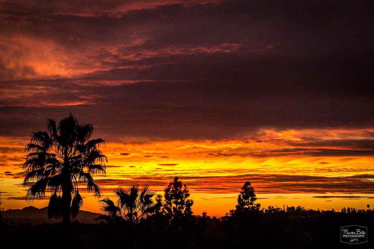 Golden Sunset, Maureen Bates Photography, California Sunset https://www.maureenbates.com
