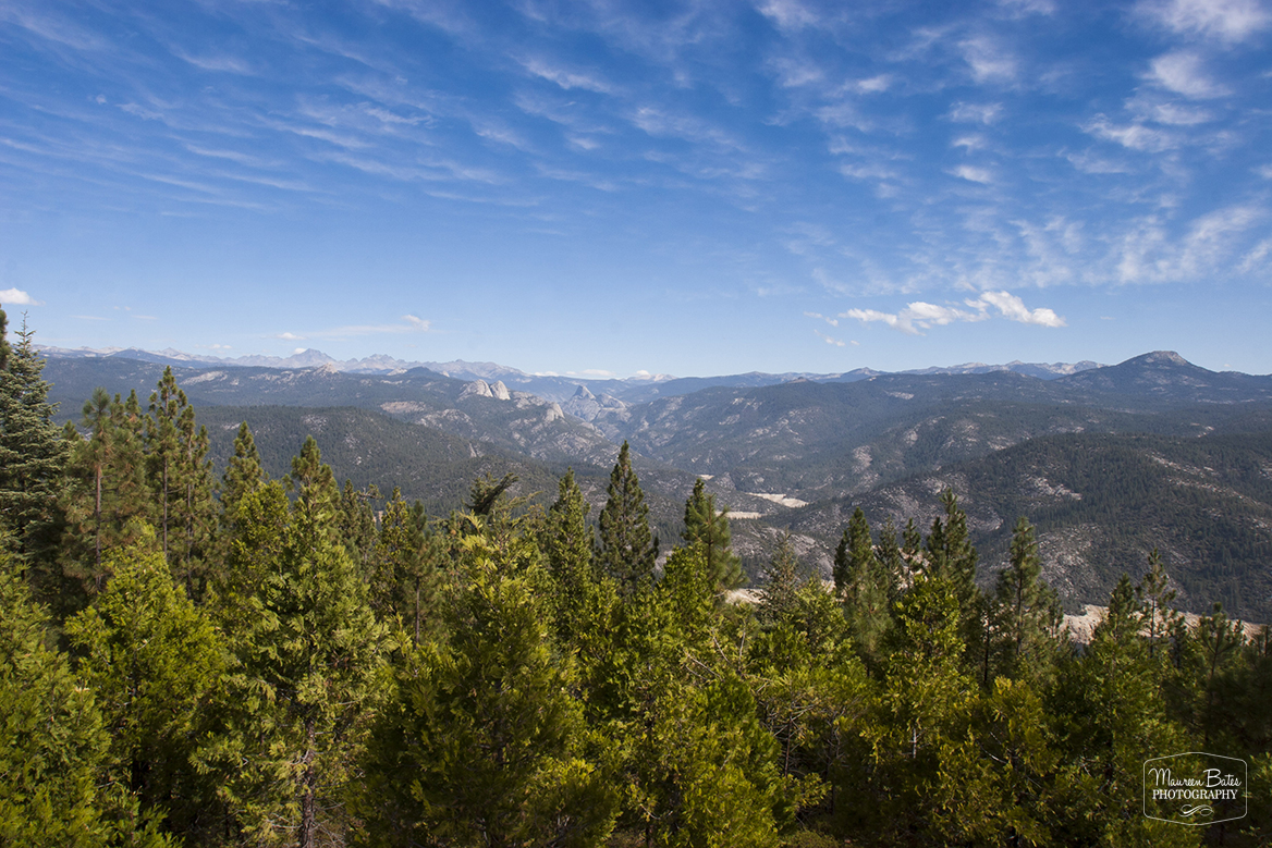 Mountain View, Northern California, Maureen Bates Photography, www.MaureenBates.com