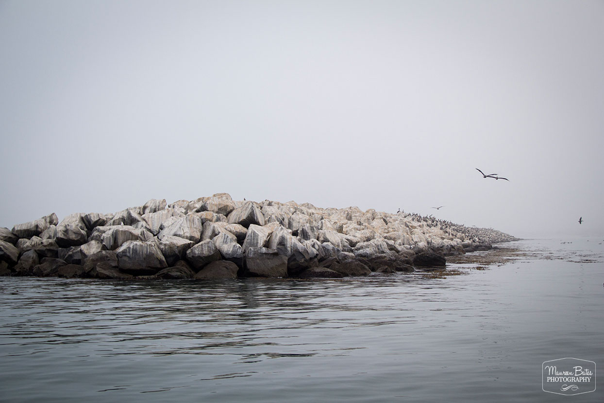 Maureen Bates Photography, Bird Rock, Ventura California http://bit.ly/bird-rock-mbphoto