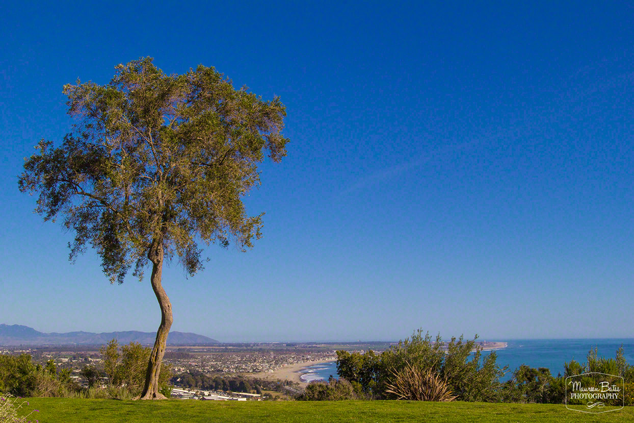 Ventura California, Maureen Bates Photography