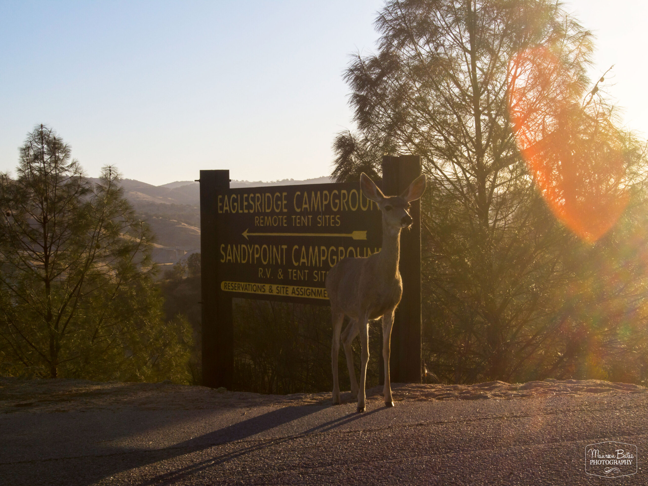 Maureen Bates Photography, Lake Naciemento, California, Camping, Adventure, maureenbates.com