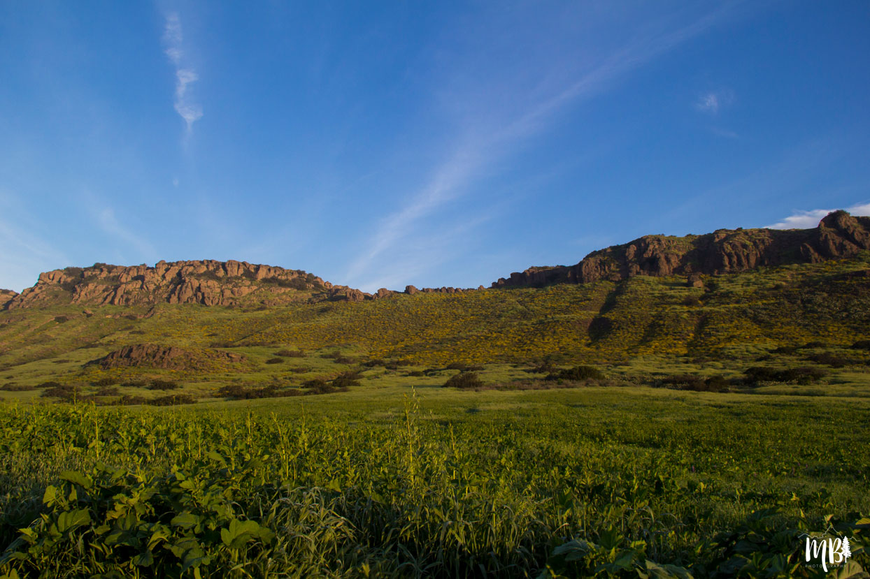 Green Fields Mountains and Blue Skies, Nature Photography, Maureen Bates Photography, Shop Maureen Bates Photography, Southern California, California, Choose Mountains, Print Shop, Photography Print Shop, www.maureenbates.com, early morning photo shoot
