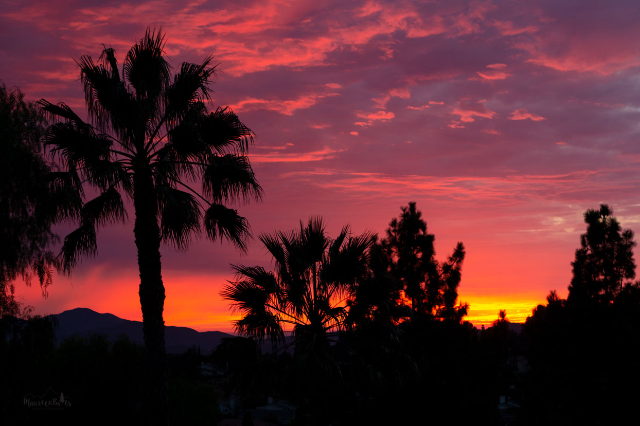 Photo Challenge & Tip: Sunset by Maureen Bates Photography Happy Monday Photo Challenge & Tip: Sunsets! Grab your camera or phone and head out early to scout out locations that would you like to photograph the sunset. Keep an eye on the clouds and weather. Don't forget a tripod! Post your photo(s) on social media and use the hashtag #MBPhotoChallenge Every Monday I will give you a photo prompt to enhance your photography skills and you’ll have a great future album!! I challenge you to use the MBPhoto Challenge in your photography throughout the week. Think of it as a photography scavenger hunt! Take as many or as few pictures as you desire that week. Use any camera you have…DSLR, film, phone, or even a Polaroid. Post your photo(s) on social media and use the hashtag #MBPhotoChallenge The only requirements to the MBPhoto Challenge is that you have fun and be creative!