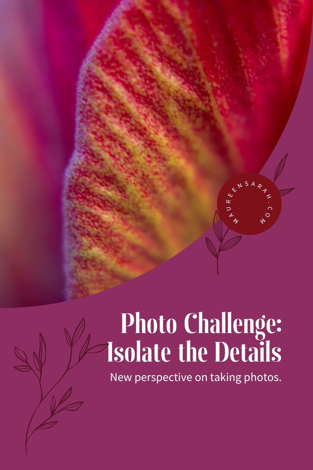 Photo Challenge Isolate the Details