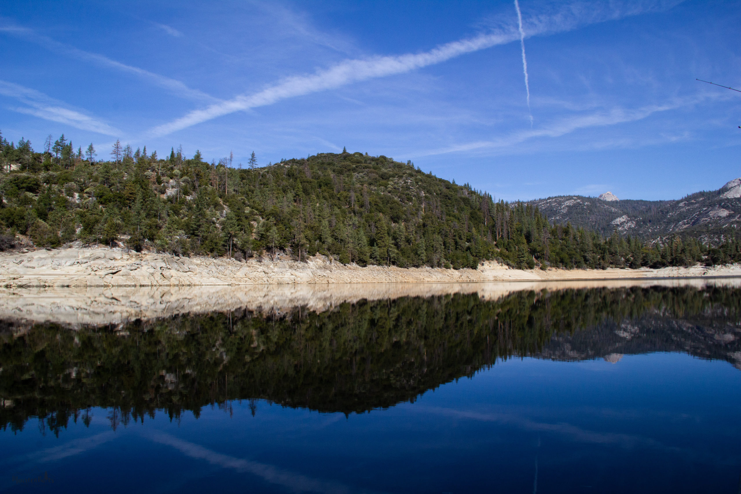 Post your Photo Challenge & Tip: Blue photo(s) on social media and use the hashtag #MBPhotoChallenge Every Monday I’ll give you a photo prompt to enhance your photography skills and you’ll have a great future album!! I challenge you to use the MBPhoto Challenge in your photography throughout the week. Think of it as a photography scavenger hunt! Take as many or as few pictures as you desire that week. Use any camera you have…DSLR, film, phone, or even a Polaroid. Post your photo(s) on social media and use the hashtag #MBPhotoChallenge