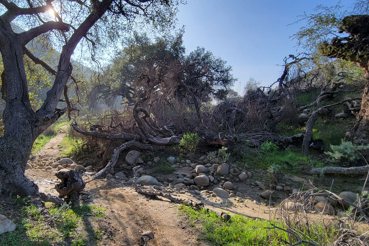 Maureen Bates Photography, Nature Photography, Harmon Canyon Ventura County California, Hiking Trail, 52 Hike Challenge