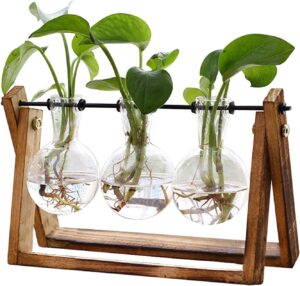 Terrarium with Wooden Stand