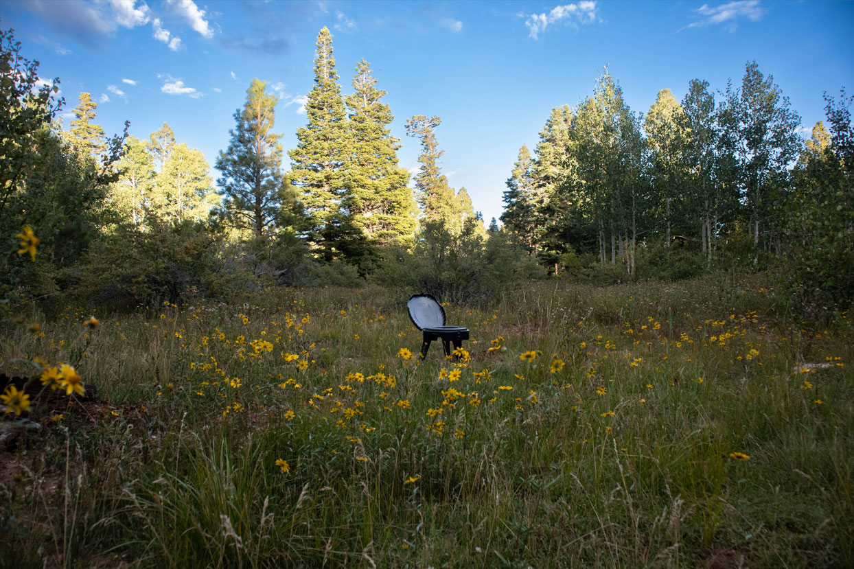 Camping toilet in middle of tree lined field.