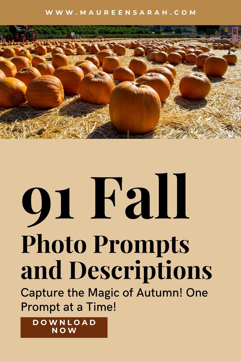 Maureen Sarah Photography 91 Fall Photo Prompts and Descriptions Pinterest Pin
