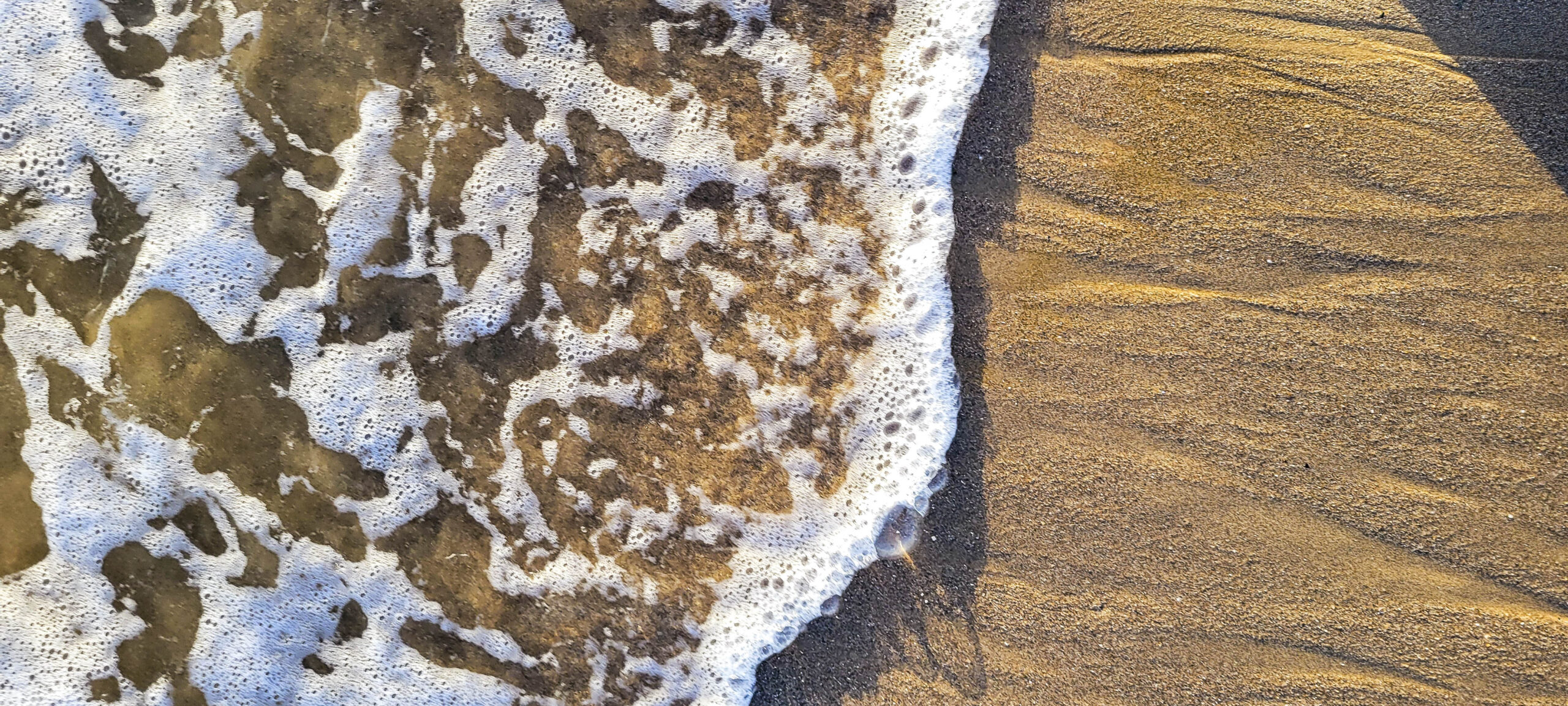 Maureen Sarah Photography Wave On Sandy Beach